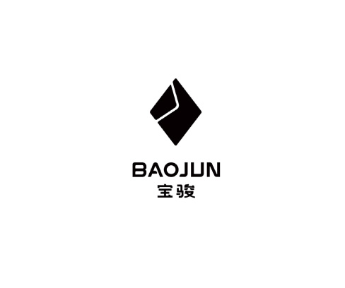 宝骏.jpg